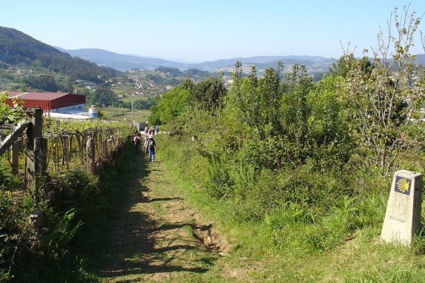 Foto 38 da atividade Galeria de Fotos