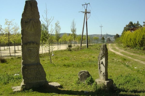 Foto 20 da atividade Galeria de Fotos