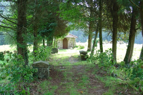 Foto 89 da atividade Galeria de Fotos