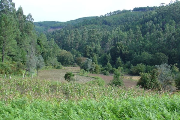 Foto 74 da atividade Galeria de Fotos