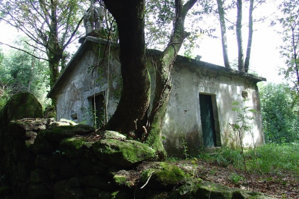 Foto 39 da atividade Galeria de Fotos