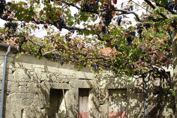 Foto 23 da atividade Galeria de Fotos