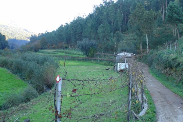 Foto 68 da atividade Galeria de Fotos