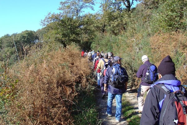 Foto 57 da atividade Galeria de Fotos