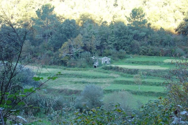 Foto 54 da atividade Galeria de Fotos