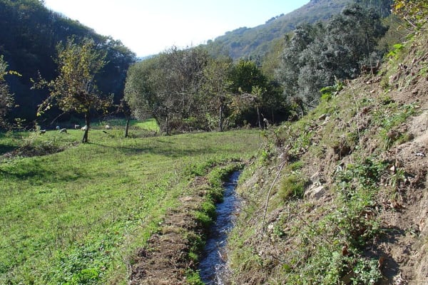 Foto 28 da atividade Galeria de Fotos