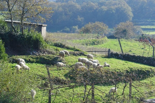 Foto 23 da atividade Galeria de Fotos