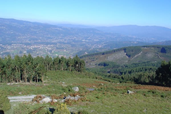 Foto 17 da atividade Galeria de Fotos