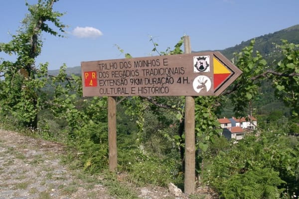 Foto 42 da atividade Galeria de Fotos