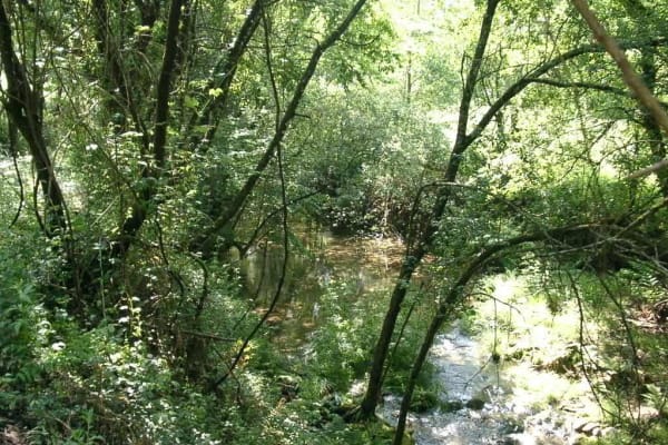 Foto 37 da atividade Galeria de Fotos