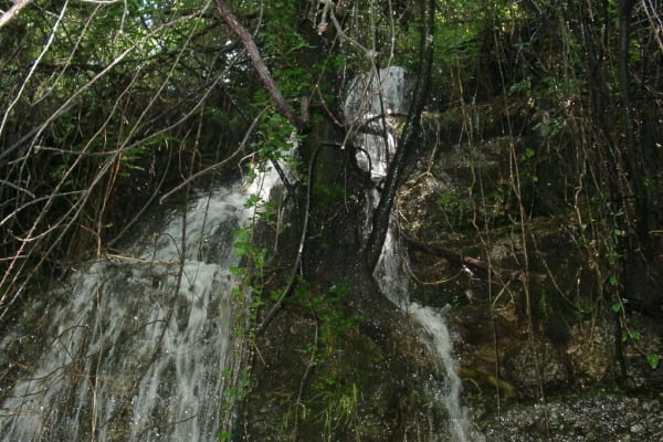 Foto 3 da atividade Galeria de Fotos