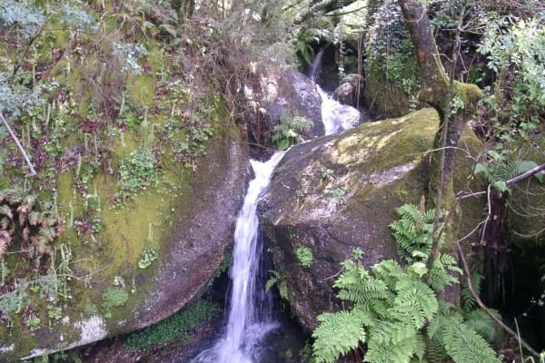 Foto 1 da atividade Galeria de Fotos