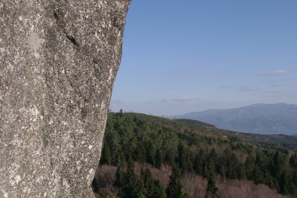 Foto 105 da atividade Galeria de Fotos