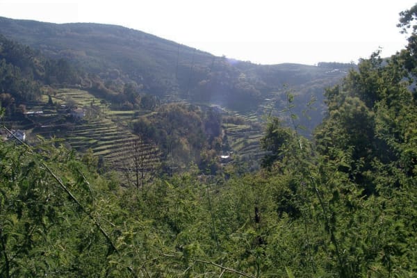 Foto 44 da atividade Galeria de Fotos