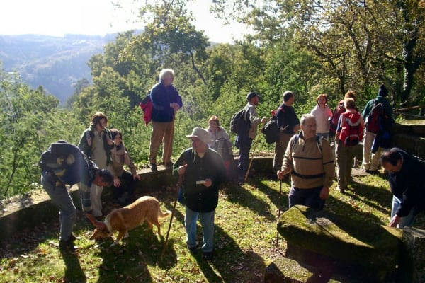 Foto 41 da atividade Galeria de Fotos