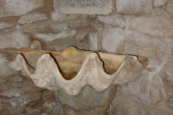 Foto 17 da atividade Galeria de Fotos