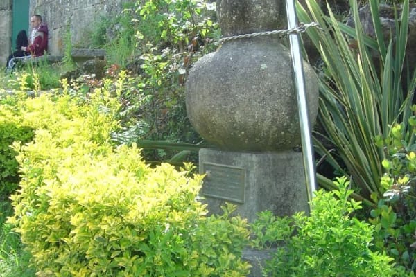 Foto 219 da atividade Galeria de Fotos