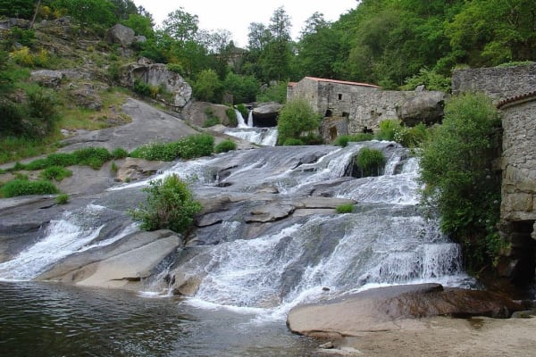 Foto 202 da atividade Galeria de Fotos