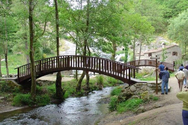 Foto 188 da atividade Galeria de Fotos