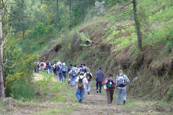 Foto 183 da atividade Galeria de Fotos