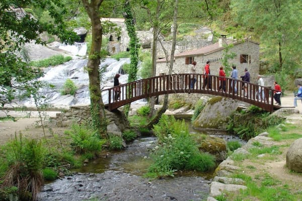 Foto 179 da atividade Galeria de Fotos