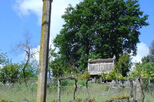 Foto 135 da atividade Galeria de Fotos