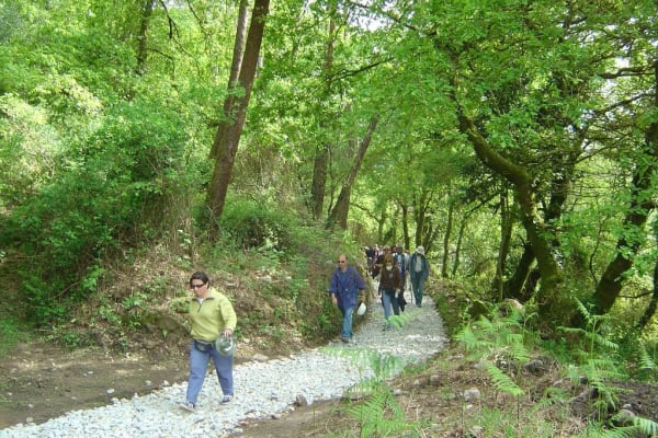 Foto 47 da atividade Galeria de Fotos