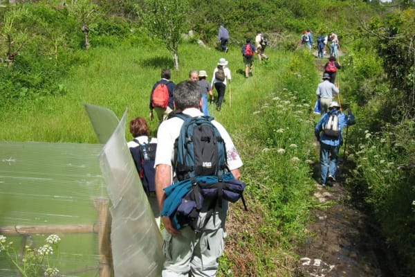 Foto 24 da atividade Galeria de Fotos