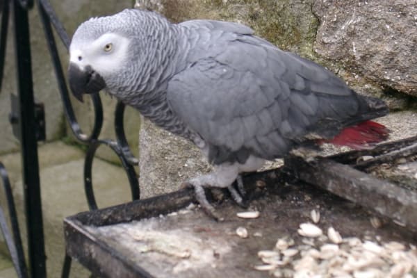 Foto 18 da atividade Galeria de Fotos