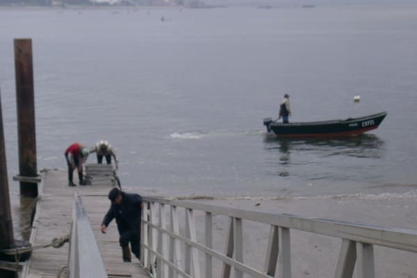 Foto 16 da atividade Galeria de Fotos