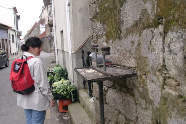 Foto 12 da atividade Galeria de Fotos