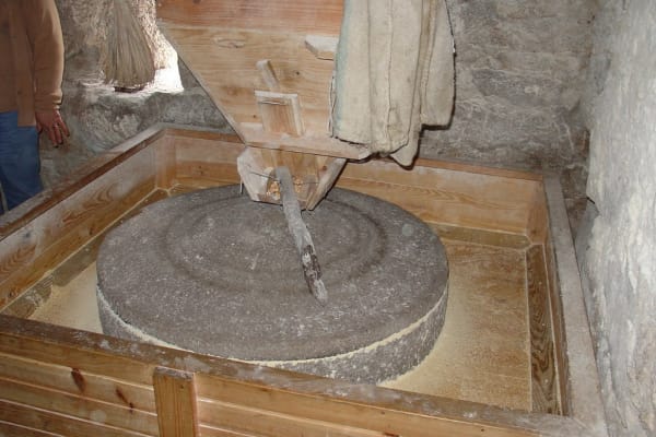 Foto 98 da atividade Galeria de Fotos