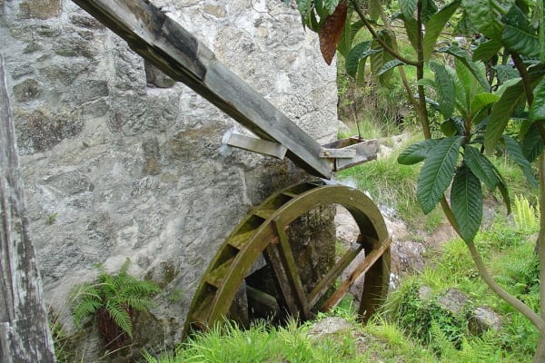 Foto 88 da atividade Galeria de Fotos