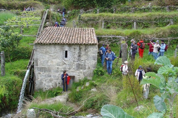 Foto 67 da atividade Galeria de Fotos