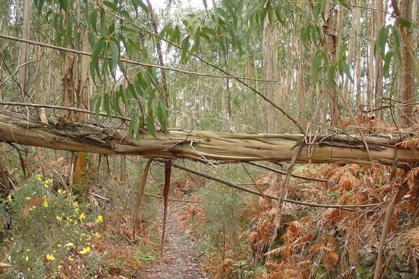 Foto 6 da atividade Galeria de Fotos