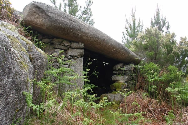 Foto 101 da atividade Galeria de Fotos