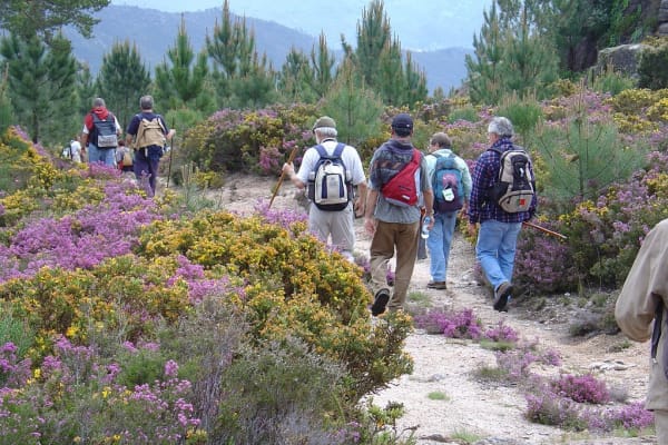 Foto 98 da atividade Galeria de Fotos