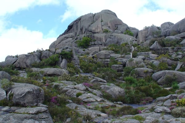 Foto 88 da atividade Galeria de Fotos