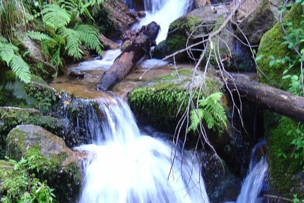 Foto 64 da atividade Galeria de Fotos