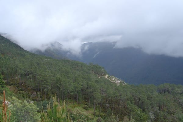 Foto 59 da atividade Galeria de Fotos