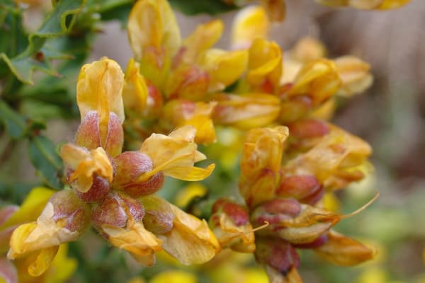 Foto 60 da atividade Galeria de Fotos