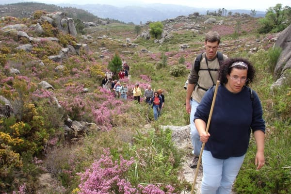 Foto 61 da atividade Galeria de Fotos