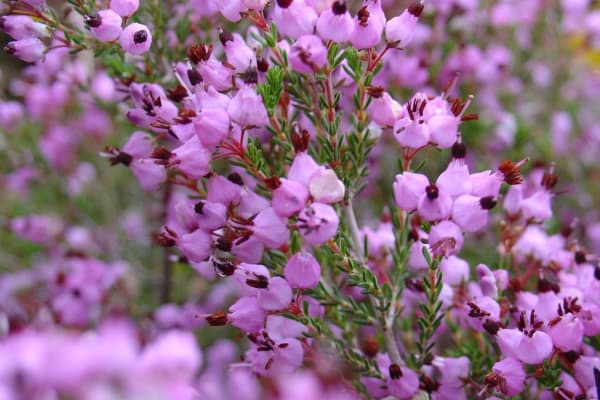 Foto 57 da atividade Galeria de Fotos