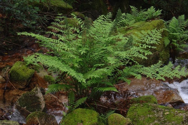 Foto 42 da atividade Galeria de Fotos