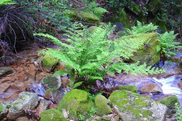 Foto 33 da atividade Galeria de Fotos