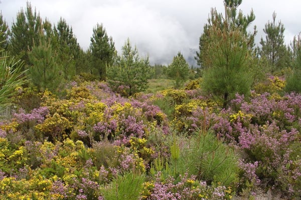 Foto 29 da atividade Galeria de Fotos