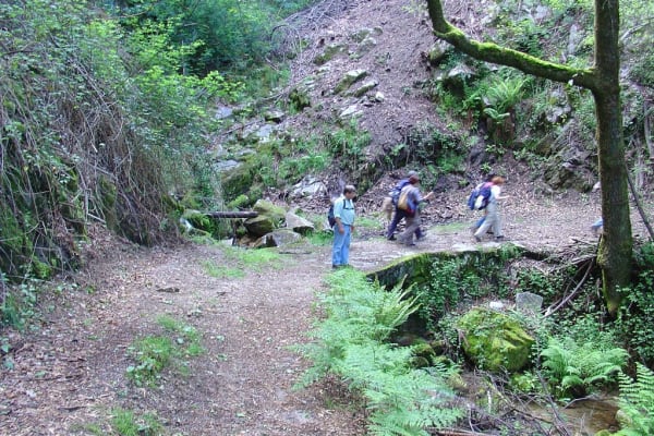 Foto 22 da atividade Galeria de Fotos