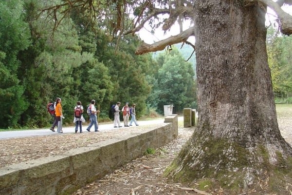 Foto 84 da atividade Galeria de Fotos