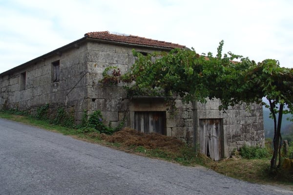 Foto 78 da atividade Galeria de Fotos