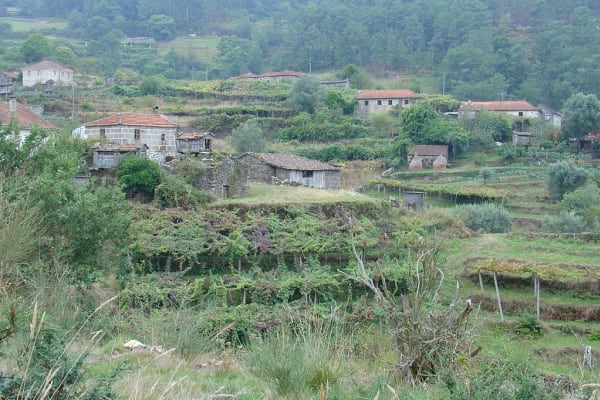 Foto 72 da atividade Galeria de Fotos